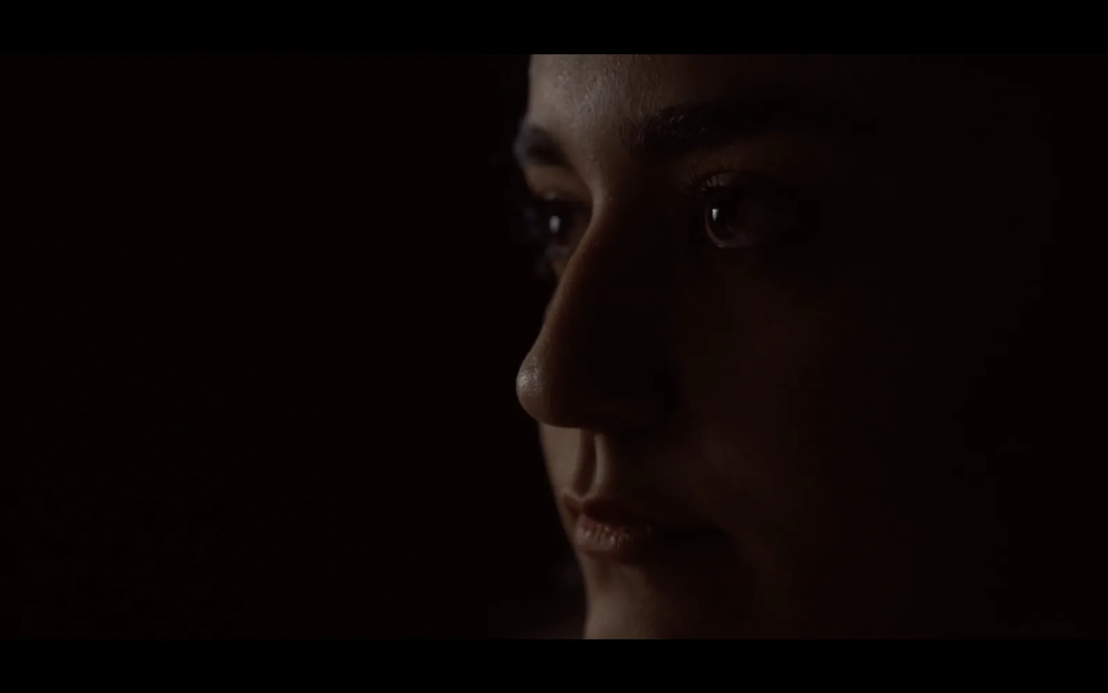 Profile in deep shadow, Bride of Stolen